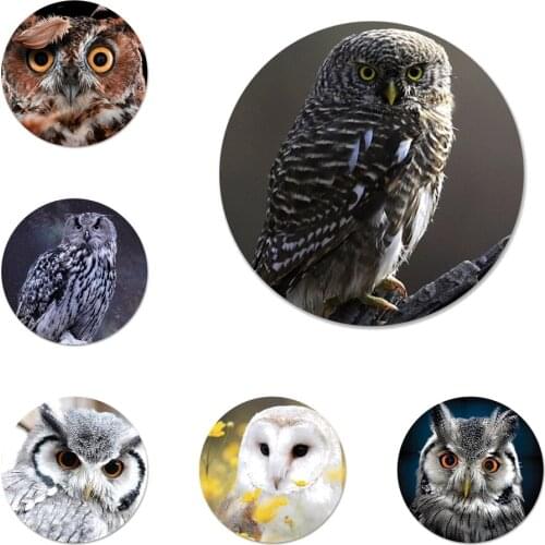 Animal Owl Icons Pins Badge Decoration Brooches Metal Badges For Clothes Backpack Decoration