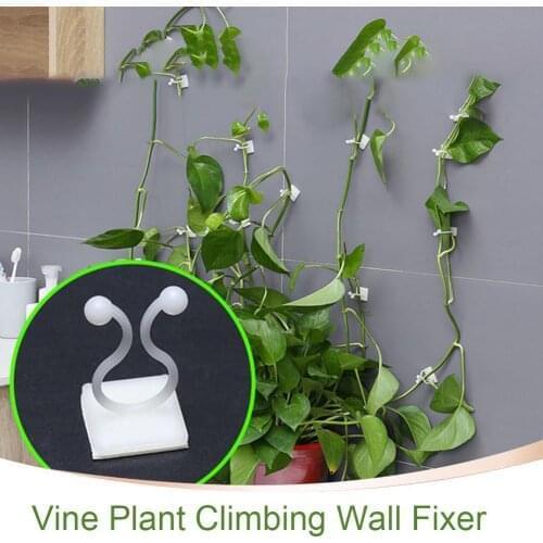 100PCS Garden Vegetable Plant Support Binding Clip Vine Plant Climbing Wall Fixer Non-marking Self-adhesive Hook Organize Vine
