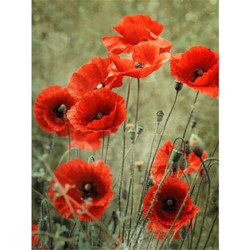 Poppy Flowers Printed Fabric 11CT Cross Stitch Complete Kit Embroidery DMC Threads Needlework Handiwork Painting Hobby Sales