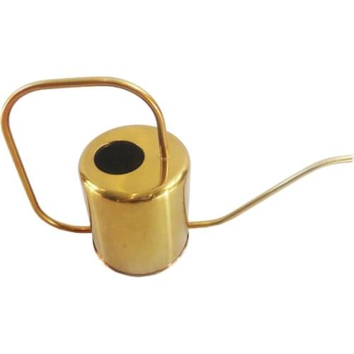 Long Spout Large Capacity Spray Can Bottle F/ Indoor Flowers Plants Herbs