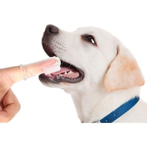 Toothbrush Pet Dog Finger Teeth Soft Teddy Brush Bad Breath Tartar Cleaning Supplies Super Tool Toys Environmental Protection