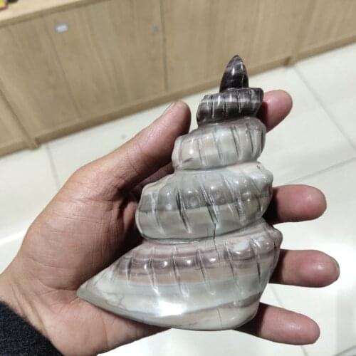 1pcs Natural Fossil Specimen Jade Ocean Conch Madagascar Ocean Conch Fossil Home Decoration