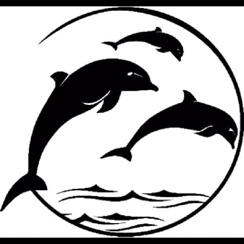 16*15cm Dolphin Ocean Life Boat Salt Water car stickers Funny Car Window Bumper Novelty JDM Drift Vinyl Decal Sticker