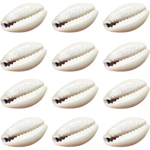 50pcs 1.5/2cm Natural Small Bulk Cut Beach Sea Shell Conch Beads Cowry Cowrie Tribal Jewelery Craft Accessories Holes DIY