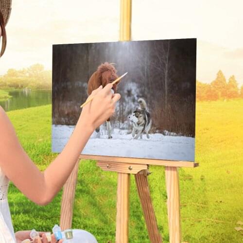 Animal Dog Husky DIY Painting By Numbers Kit Acrylic Paints 50*70 Paiting By Numbers Loft Wall Picture For Kids For Wholesale