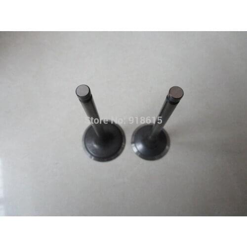 EX40 intake valve and exhaust valve for EX40 gasoline engine parts