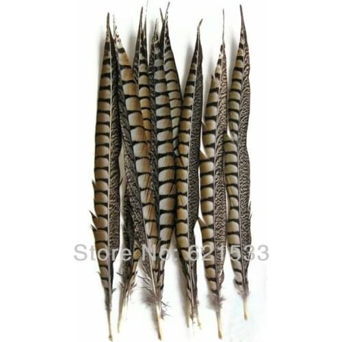 50PCS/LOT Lady Amherst Pheasant Tail Feathers Wholesale Loose Quills 12-14inch 30-35c,Lady Amherst Tails