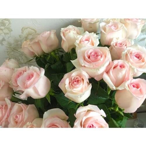 5D DIY full diamond painting embroidery cross stitch mosaic Pink Roses home decoration wall decor handmade diy gift