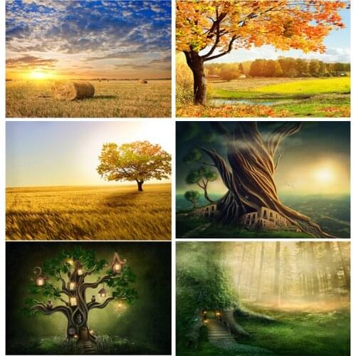 Vinyl Custom Photography Backdrops Scenery Theme Photo Studio Background 20203TT-21