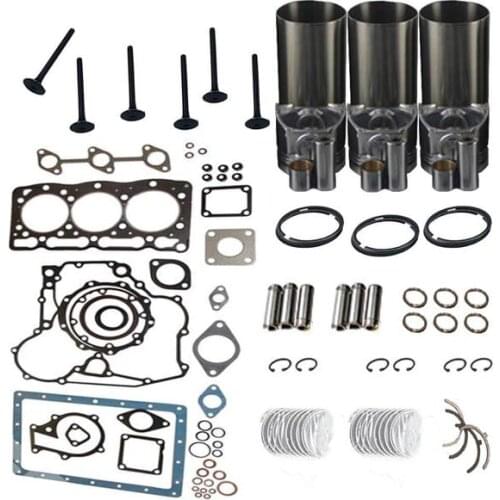 D1005 Overhaul Rebuild Kit STD with Liners Fit for Kubota B21 B2100DT B2100HST-D B2100HST-DB B7500DT