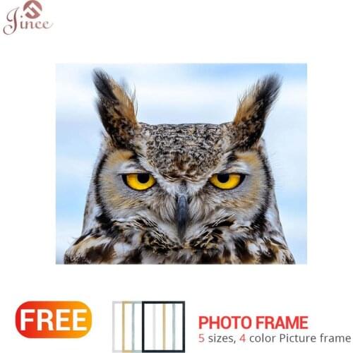 DIY 5D Diamond Painting Animal Owl Diamond Embroidery Cross Stitch Hobby Rhinestone Picture Full circular Diamond Home Decor