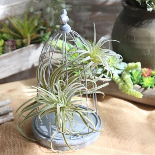 Artificial Flocked Pineapple Air Grass European Style Simulation Green Succulent Plants Vine Wedding Home Office Decoration