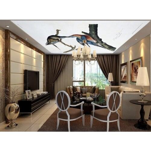 1849 Giganic Birds Flying in the Sky PVC Stretched Ceiling Film For Home decoration