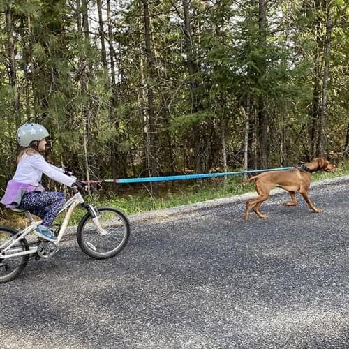 Shock Absorbing Bike Supplies Portable Crash Resistant Cycling Pull Strap for Outdoor