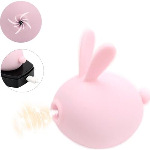 Clitoris Vagina Stimulator Nipple Sucker Massage Rabbit Dildo Vibrator Sucking Vibrator Sex Toys for Women