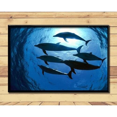 Dolphin Lovely Marine Animal (14) Wall Posters Prints Silk Art Painting For Home Wall Bedroom Decor