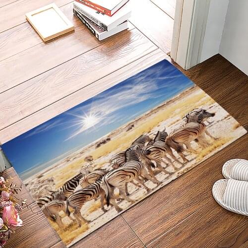 African Grassland Zebra Doormat Bedroom Kitchen Floor Mat Bathroom Anti-Slip Rug Home Doormat for Entrance Door