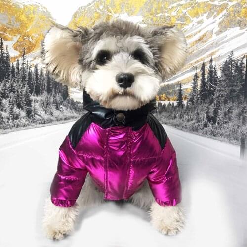 Dog Winter Coat Clothes Pet Ropa Perro Costume Para Accessories Puppy Clothing Outfit French Bulldog Pug Warm Bright Down Jacket