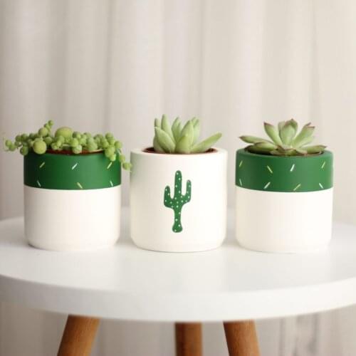 Flower Plant Pot Entice In Pot Garden Cactus Patterned Concrete Set Design Garden Balcony Decoration Small Size Planters