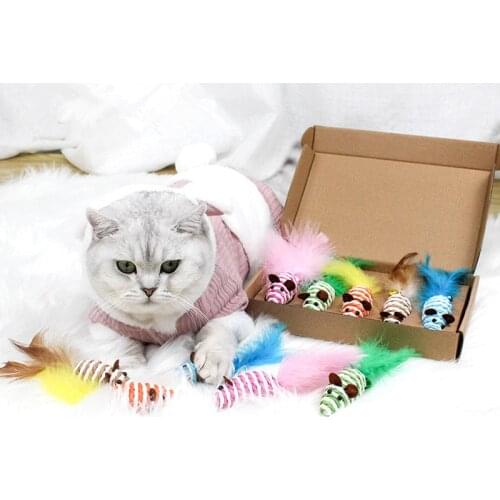 5 Pcs Set Funny Cat Stick kit Pet Cats Interactive Play Toy Simulation Mouse Molar Feather Pet Supplies Gift For Cat