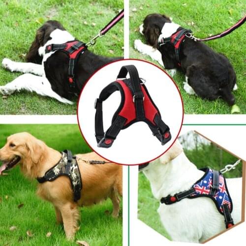 Pet Products Pet Leash Dog Chain Explosion-proof Dog Leash Bone Chest Strap Factory Outlet