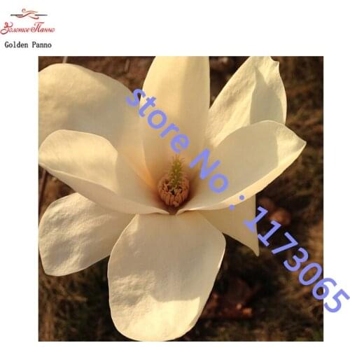 Diamond embroidery diamond painting full square 5d diy mosaic flowers pictures by numbers pictures of rhinestones