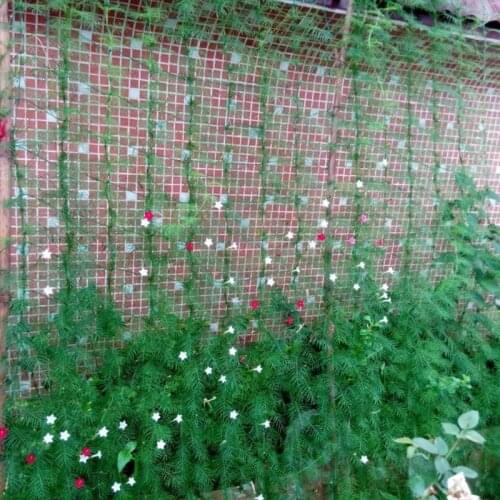 1.8m*1.8m garden fence nylon net plant growth climbing frame fence lattice gardening net vegetable plant lattice garden tools