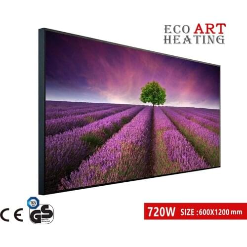 720W Infrared Heater IR Electric Heating Panel Wall Mounted Heat