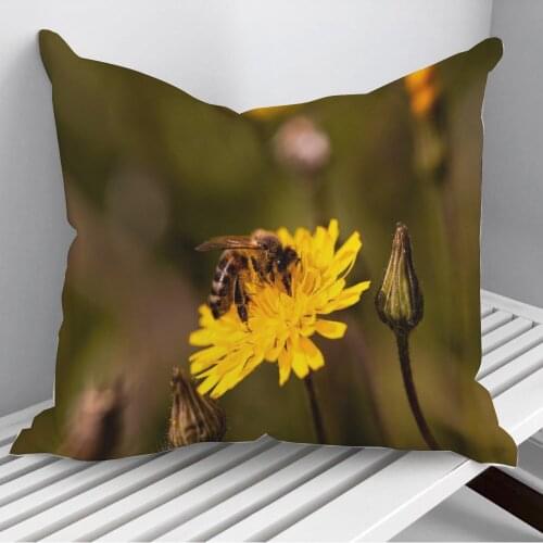 Bee on dandelion Throw Pillows Cushion Cover On Sofa Home Decor 45*45cm 40*40cm Gift Pillowcase Cojines Dropshipping