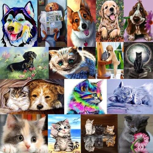 Diamond Painting 5d Diy Diamond Mosaic Embroidery Cats and Dogs Full Round Drill Home Bedroom Decoration Gifts Animal Picture