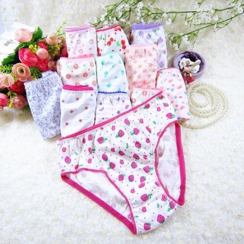 12Pcs/lot girls' underwear cartoon panties cotton short pants cartoon panties ZJ-D39W