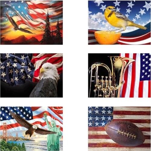Uone Diamond Painting 5d Diy Cross Stitch American Eagle Animal Rugby Embroidery Rhinestone Kids Adult Home Decor MysteryBox