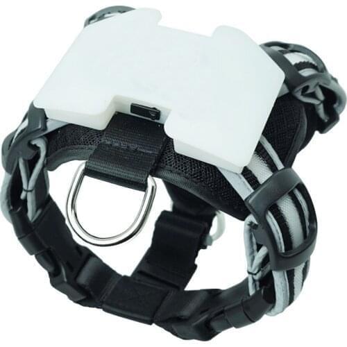 CC SIMON Pet Supplies