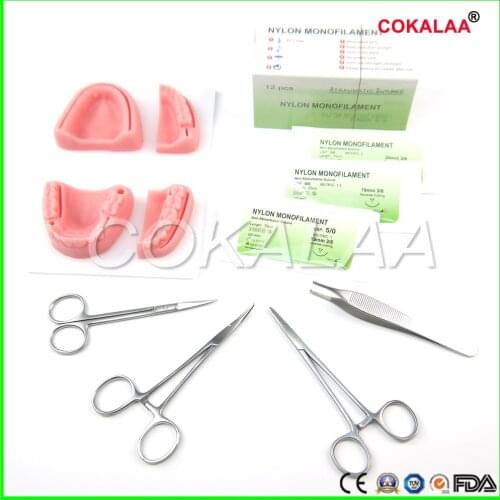 Dental Simulation oral suture model with needle Gum suture teaching training equipment skill practice