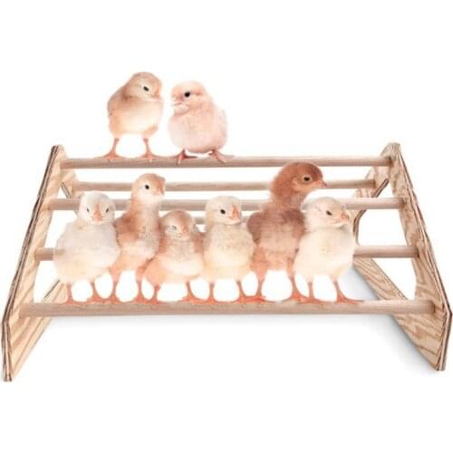 Backyard Chick Perch Strong Wooden Jungle Gym Roosting Bar Chicken Coop Toys M68E