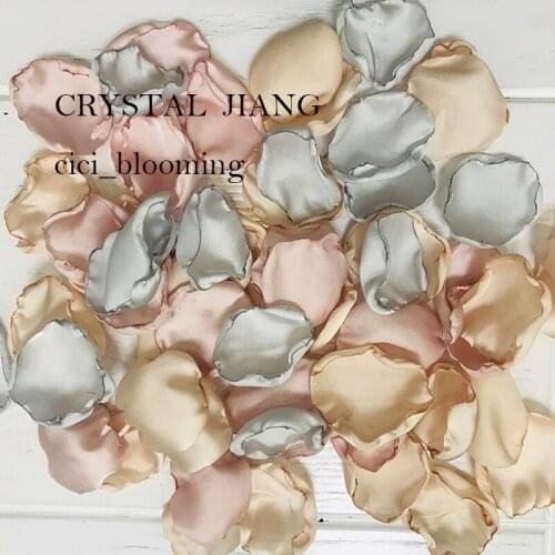 Apricot Sliver And Candy Color Petals For Weddings Flower Girl Rose Petal 100 pieces /Lot