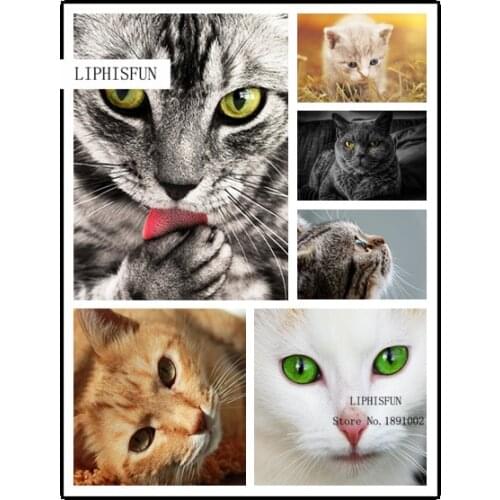 Full Square Diamond 5D Diy Diamond Painting Cute Cat Embroidery Cross Stitch Mosaic Decor