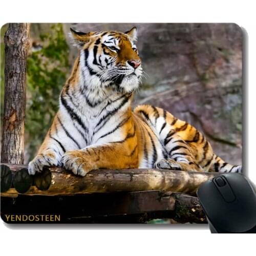 Personalized Mouse Pad,Tiger Predator Big Cat Lying 112424 Mouse Pad With Stitched Edge