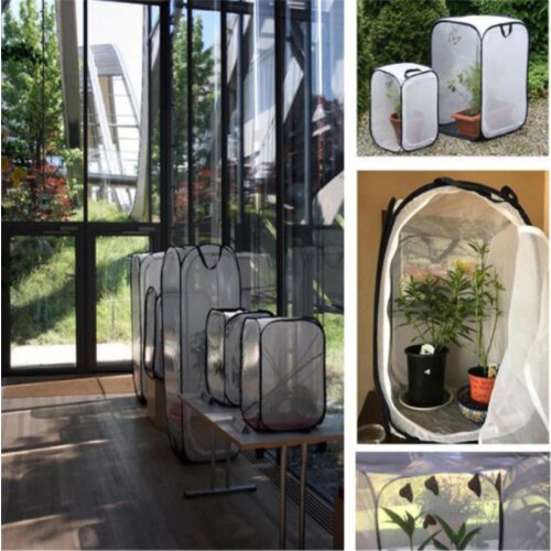 Breeding Cages Net Cloth Praying Mantis Stick Insect Butterfly Cage Housing Enclosure