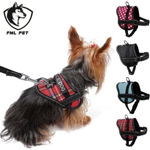 FML PET Harnesses