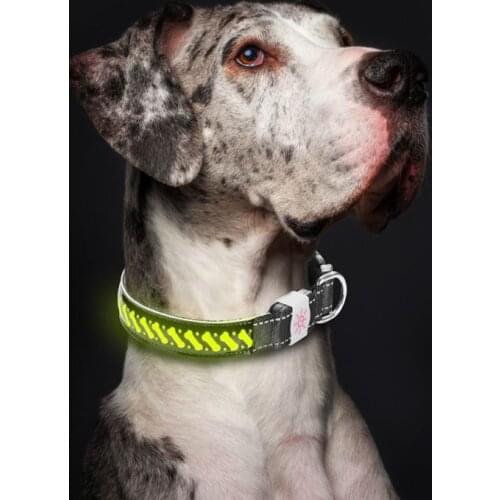 USB Rechargeable Pet Collar Lighted Up PU Leather LED Dog Collar Advanced Glow Necklace, Adjustable Safety Pet Collar