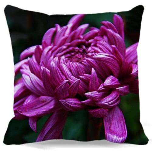 Purple Chrysanthemum in bloom Cotton polyester pillow case Square Cushions cover for Home car chair decoration