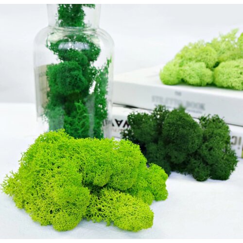 20g High Quality Artificial Moss Immortal Moss Simulation Green Plant Grass Home Decorative Wall DIY Micro Landscape Accessories
