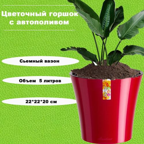 SANTINO Products For The Garden And Vegetable Garden