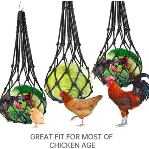 Feeding Net Bag Bird Feeder Parrot Feeding Cock Hen Feeding Pendants Knitting Hanging Toys Feeders Multifunctional Feeding Net