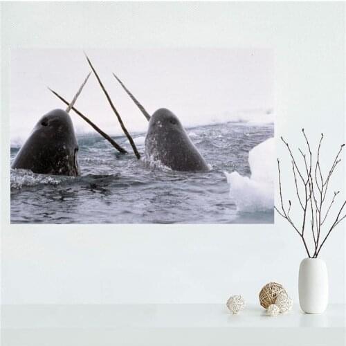 Custom Narwhal Canvas Poster Bedroom Home Decoration Wall Poster Art Print Silk Fabric Gift For Children 50x75CM,60x90CM