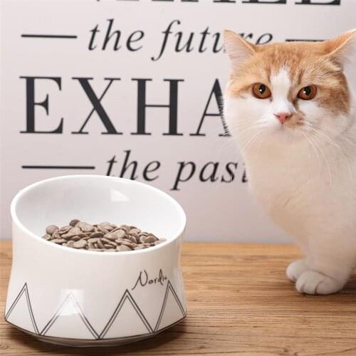Ceramic Tilted Elevated Cat Dog Bowl Raised Cat Food Water Bowl Dish Stress Free, Backflow Prevention, Made to FDA/EC&ECC Europe