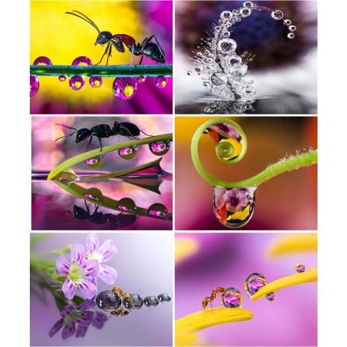 Ant Dewdrop Flower 5D Diamond Painting DIY Rhinestone Embroidery Full Drill Mosaic Cross Stitch Kit Wall Art Home Decoration