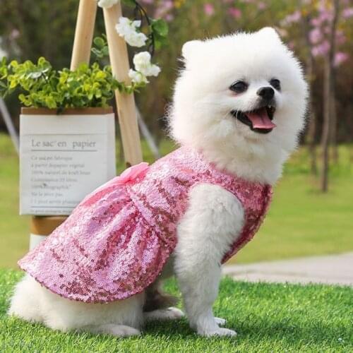 Pet Dog Cat Princess Dress Romantic Puppy Sequin Skirt Home Pet Wedding Dress Product Spring Summer New