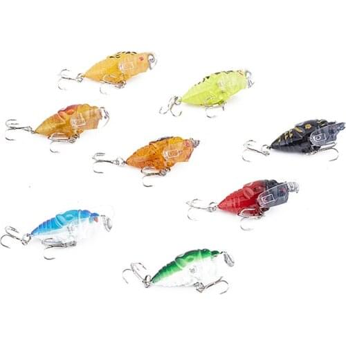 1PC Bionic Insect Popper Fishing Lures 5cm 6g Simulation Cicada Wing Topwater Wobbler Artificial Hard Bait Crankbaits